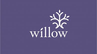 Rochester’s Willow Center provides update on domestic violence