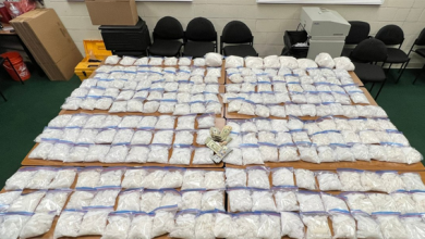 Over 250 pounds of meth seized during a traffic stop in California