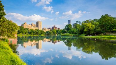 82-year-old man and 44-year-old woman thrown into Central Park lake while trying to stop thief