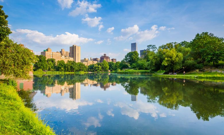 82-year-old man and 44-year-old woman thrown into Central Park lake while trying to stop thief