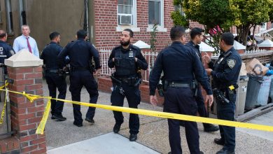 Police looking for suspects who wounded a man in Brooklyn