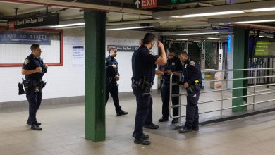 25-year-old man pushed to tracks at NYC Union Square station