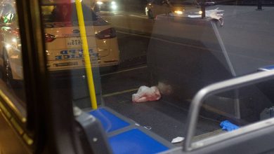 Middle-aged man fatally stabbed on a Bronx MTA bus