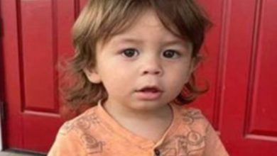 Criminal investigation ongoing while the search for a missing Georgia toddler continues