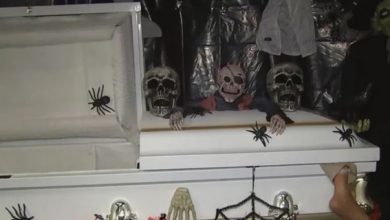 Maryland family discovered a woman’s ashes inside a prop coffin ordered for a Halloween party