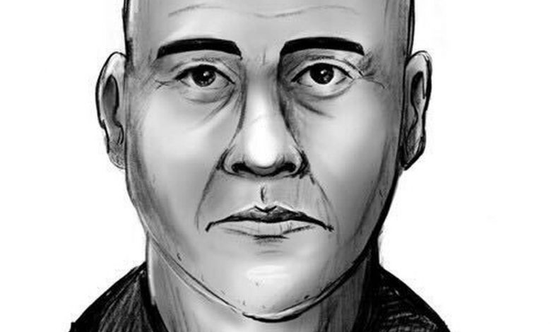 NYC police release a sketch of man who assaulted an 11-year-old girl