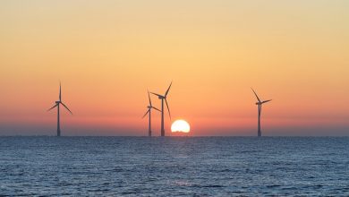 New York will invest in three offshore wind projects