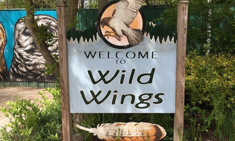 A local not-for-profit bird of prey facility is setting up for their silent auction