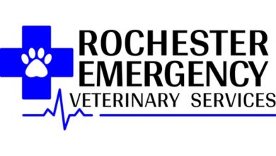 New emergency veterinary services opening in Rochester this week