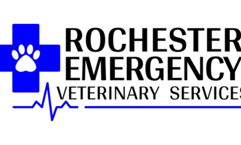 New emergency veterinary services opening in Rochester this week